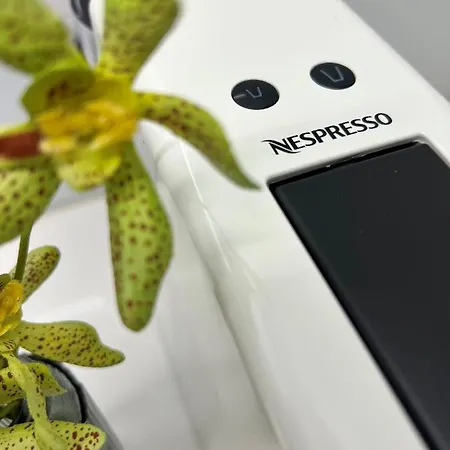 Wanderlust, By Bolhao Residences Apartman *