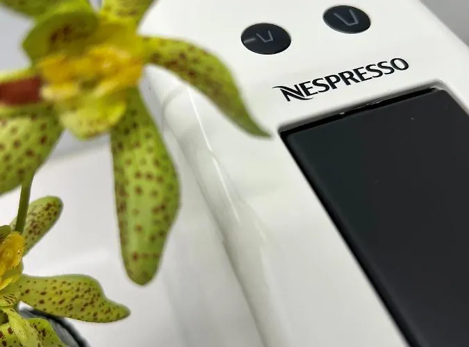 Wanderlust, By Bolhao Residences Daire *